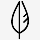 Quill