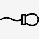 Spermium