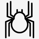 Spoder