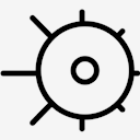 Virus