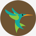 hummingbird