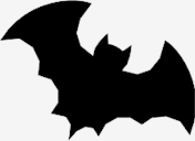 bat