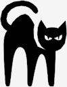 black,cat
