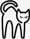 black,cat