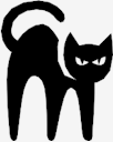 black,cat