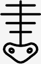 skeleton
