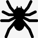 spider
