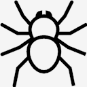 spider