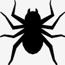 spider