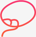 lasso