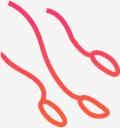sperm