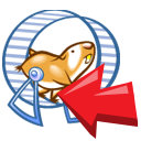 animal,hamster
