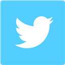 twit,twitter