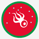 Squido