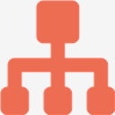 Organization,structure