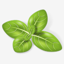 Herb,Basil