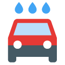 local,car,wash