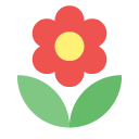 flower,florist