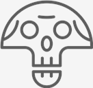 Wireframe