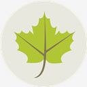 Ecology,Leaf