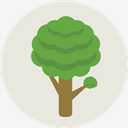 Ecology,tree