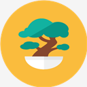 Bonsai