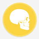 Anatomy