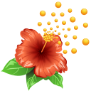 allergen,allergy,flower,pollen,weather