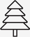 tree,evergreen