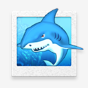 fgol,sharkfree