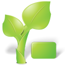 leaf,nature,organic,plant