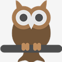 owl