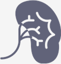 Kidney