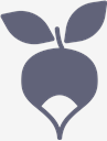 Radish