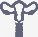 Uterus