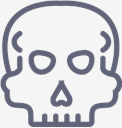 Cranium