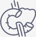 Pancreas