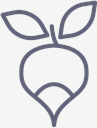 Radish