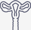 Uterus