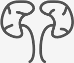 Kidneys