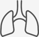 Lungs