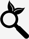 search