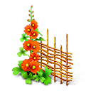 flower,paling,palisade,plant