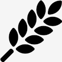 sprig