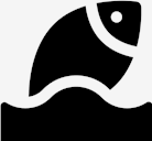fish,animal