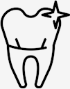 teeth,Tooth