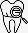 teeth,Tooth
