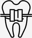 teeth,Tooth