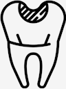 teeth,Tooth