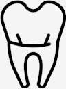 teeth,Tooth